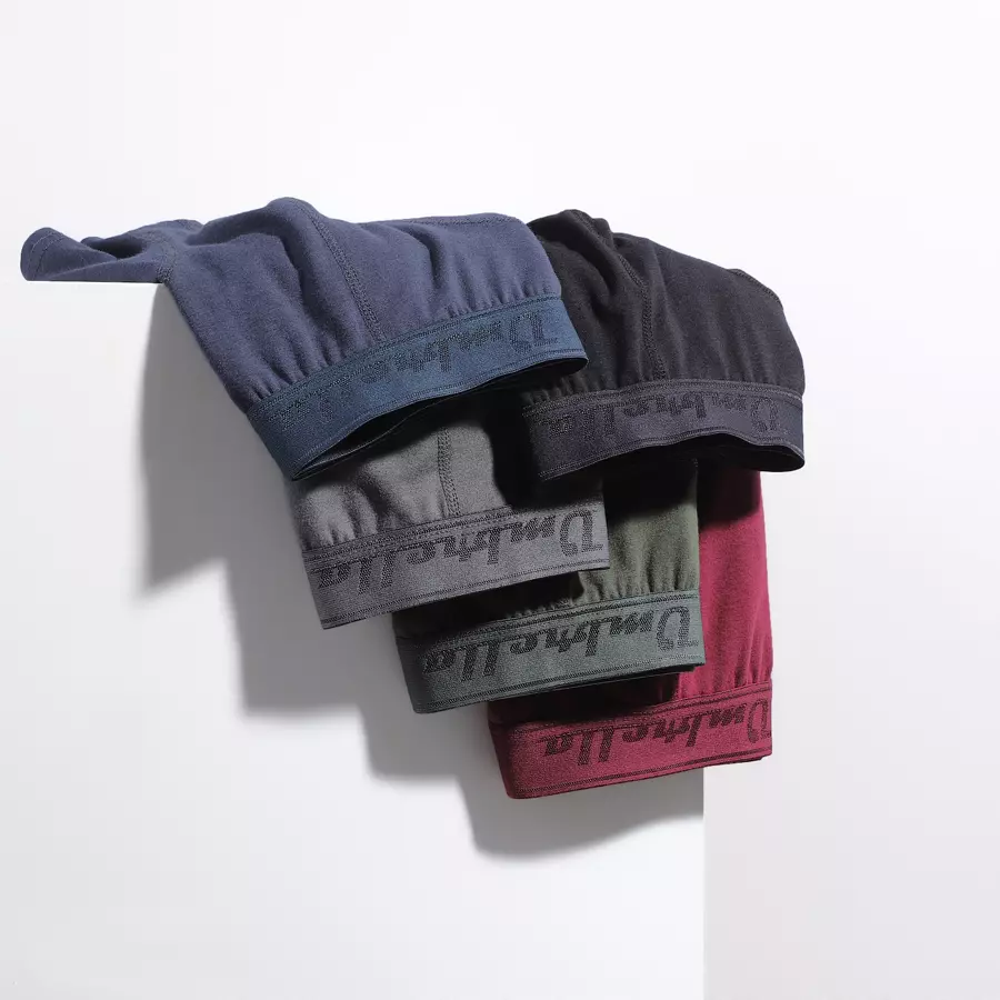 5 Trunks in verschiedenen Farben hängen über einer Wand