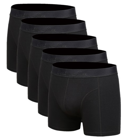 5 schwarze Bambus Unterhosen